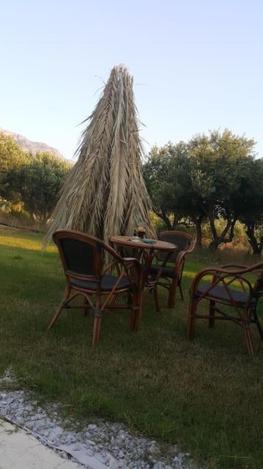 Rena's House Апартаменты *